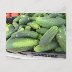 Postal Cucumber Bundle