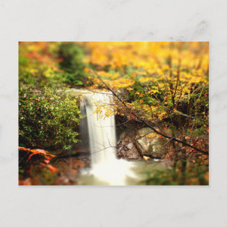Postal Cucumber Falls Colores Caídos