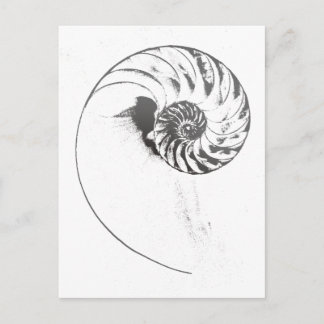 Postal Cuello de Nautilus 1