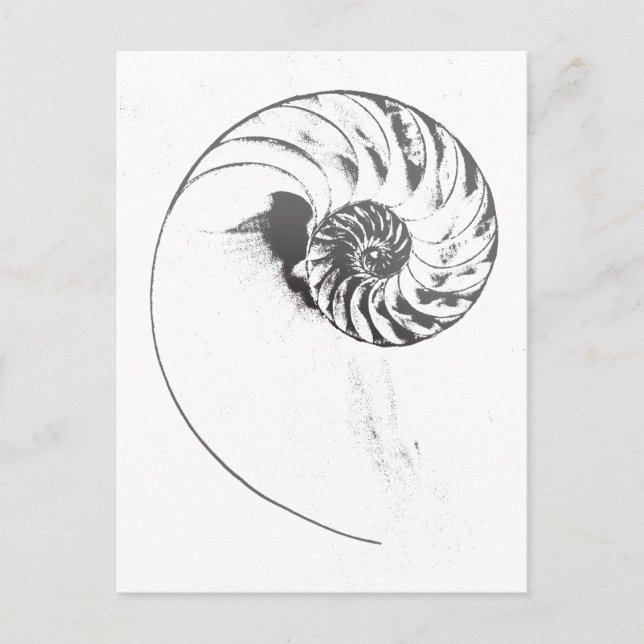 Postal Cuello de Nautilus 1 (Anverso)