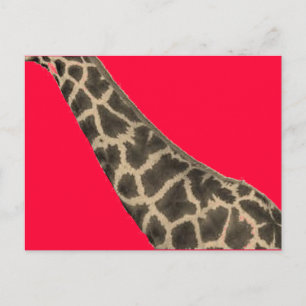 Postal cuello rojo