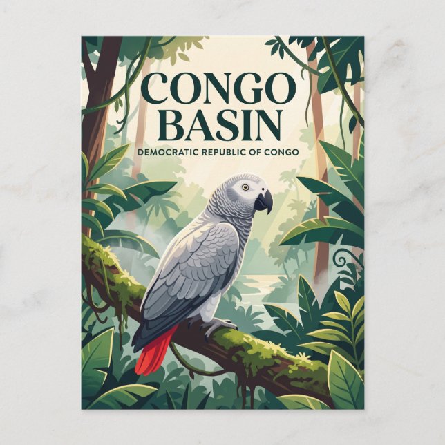 Postal Cuenca del Congo República Democrática del Congo (Anverso)
