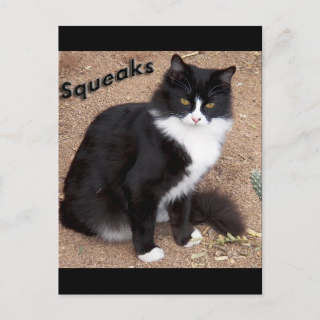 Postal Cuerdas (Anverso)