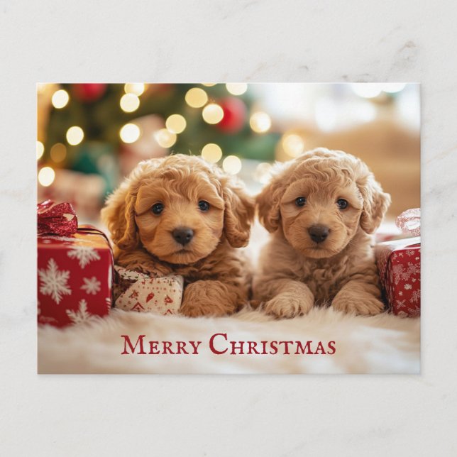 Postal Cuerdo cachorro Feliz Navidad (Anverso)