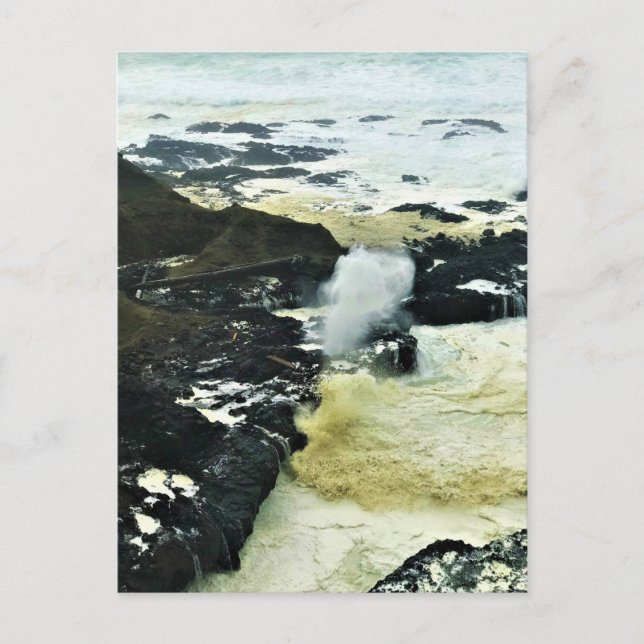 Postal Cuerno de spouting, Cabo Perpetua, Costa de Oregón (Anverso)