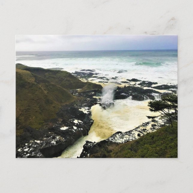 Postal Cuerno de spouting, Cabo Perpetua, Costa de Oregón (Anverso)