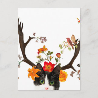 Postal Cuernos de gato