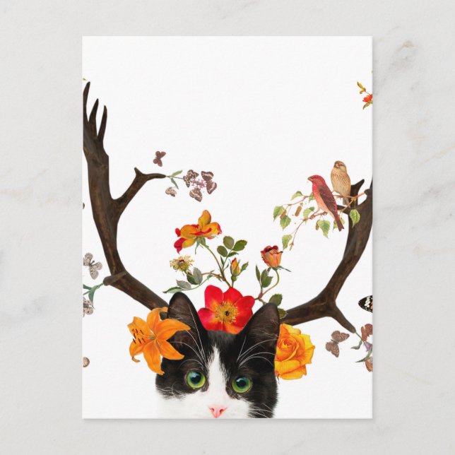 Postal Cuernos de gato (Anverso)