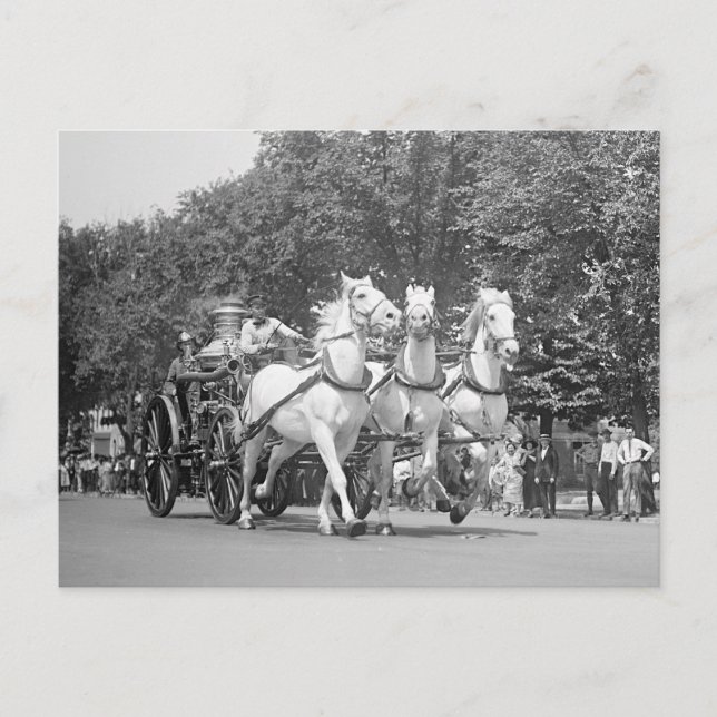 Postal Cuerpo de bomberos Horses, 1925 (Anverso)
