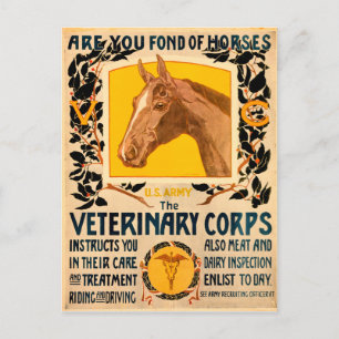 Postal Cuerpo Veterinario