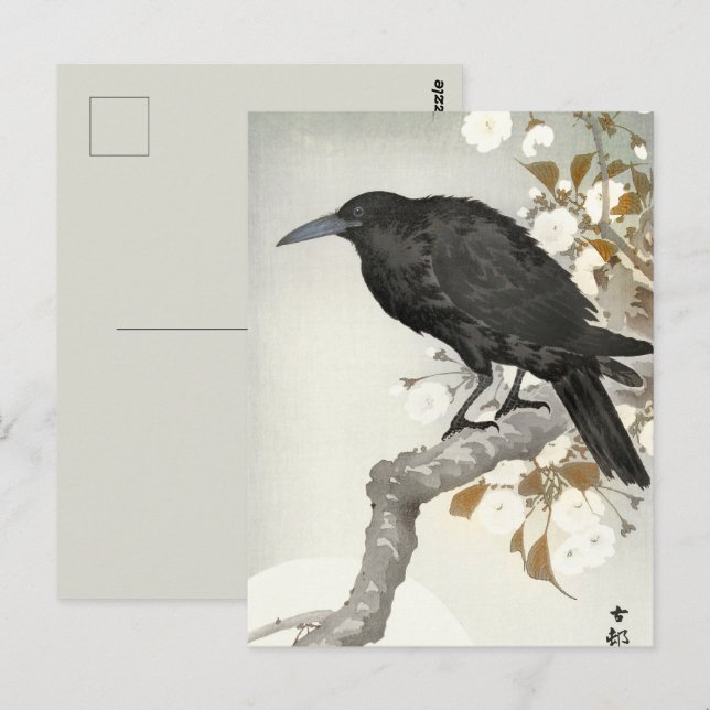 Postal Cuervo Cuervo Japonés Koson Pájaro (Anverso / Reverso)