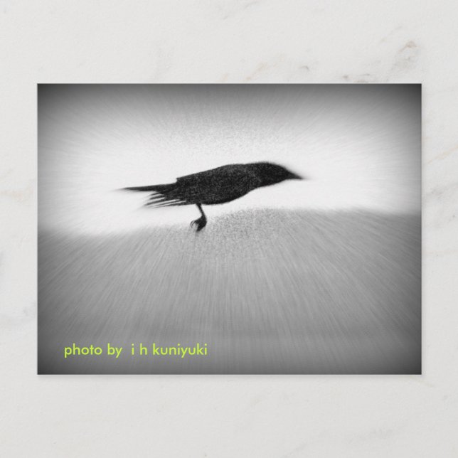 Postal Cuervo de la cautela (Anverso)