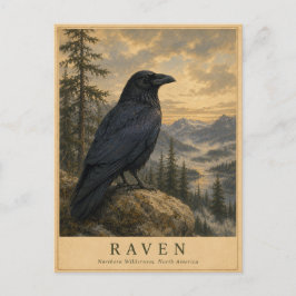 Postal Cuervo Northern Wilderness VINTAGE