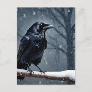 Postal Cuervo oscuro pájaro negro