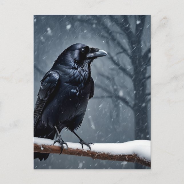 Postal Cuervo oscuro pájaro negro (Anverso)