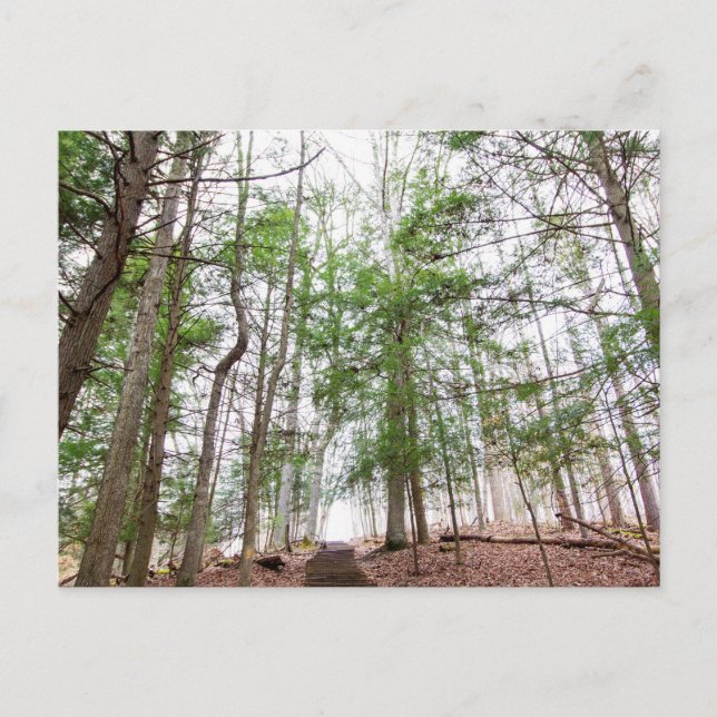 Postal Cueva de Whispering, Parque Estatal Hocking Hills, (Anverso)