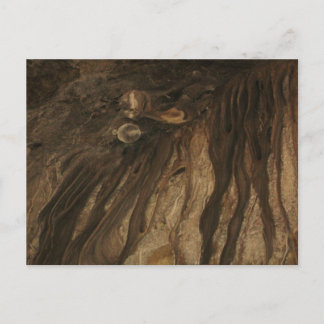 Postal Cuevas de Lehman