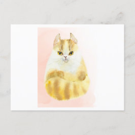Postal Cuidada acuarela de gato