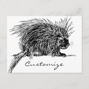 Postal Cuidada y espeluznante Hedgehog Thunder_Cove