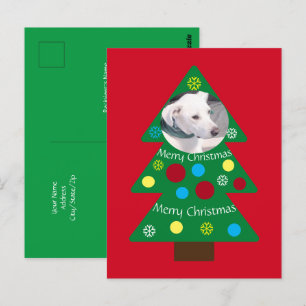 Postal Cuidado árbol de navidad colorido de perro de cach