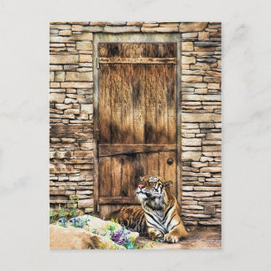 Postal Cuidado con el tigre salvaje del gato de la casa a