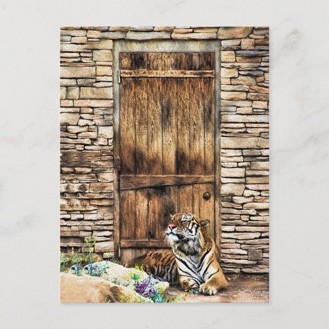 Postal Cuidado con el tigre salvaje del gato de la casa a (Anverso)