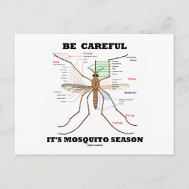 Postal Cuidado con la temporada de mosquitos (anatomía de