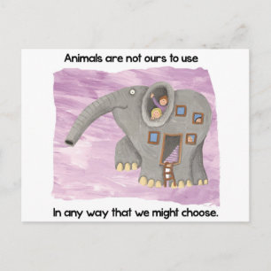 Postal ¡Cuidado con los animales!