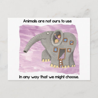 Postal ¡Cuidado con los animales!