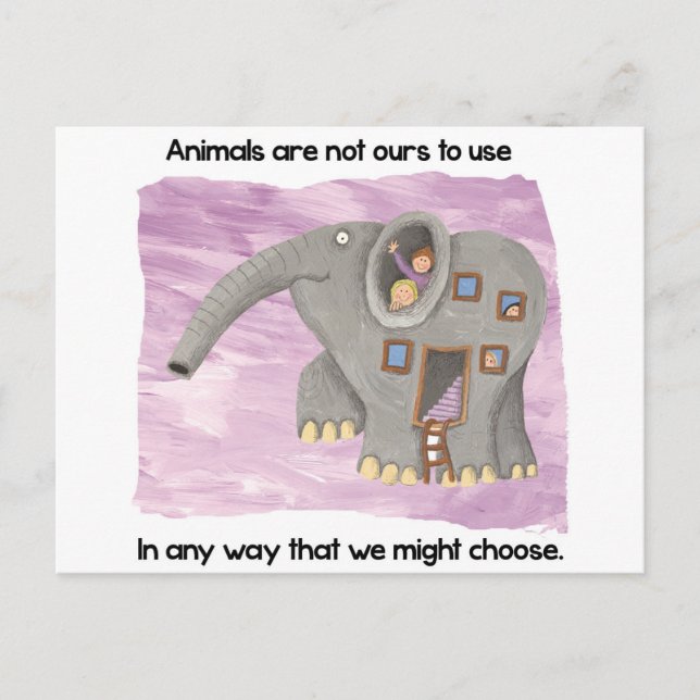 Postal ¡Cuidado con los animales! (Anverso)
