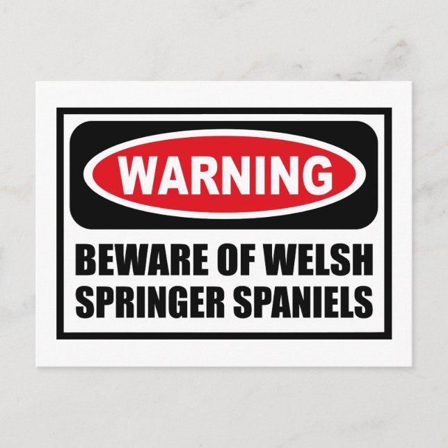 POSTAL CUIDADO DE LA POSIBILIDAD DE WELSH SPRINGER SPANIE (Anverso)