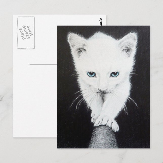 Postal Cuidado gatito blanco Arte de dibujo animal Amante (Anverso / Reverso)