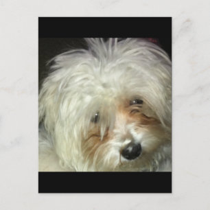 Postal Cuidado pequeño cajón