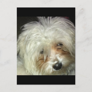 Postal Cuidado pequeño cajón