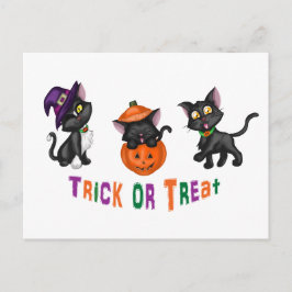 Postal Cuidados gatos de Halloween