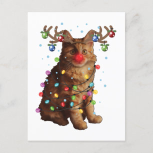 Postal Cuidados regalos de vacaciones de Navidades de gat