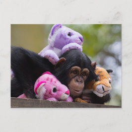 Postal Cuidadosamente chimpancé y amigos animales