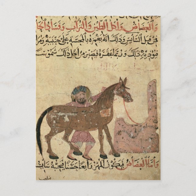 Postal Cuidando al caballo, ilustracion (Anverso)