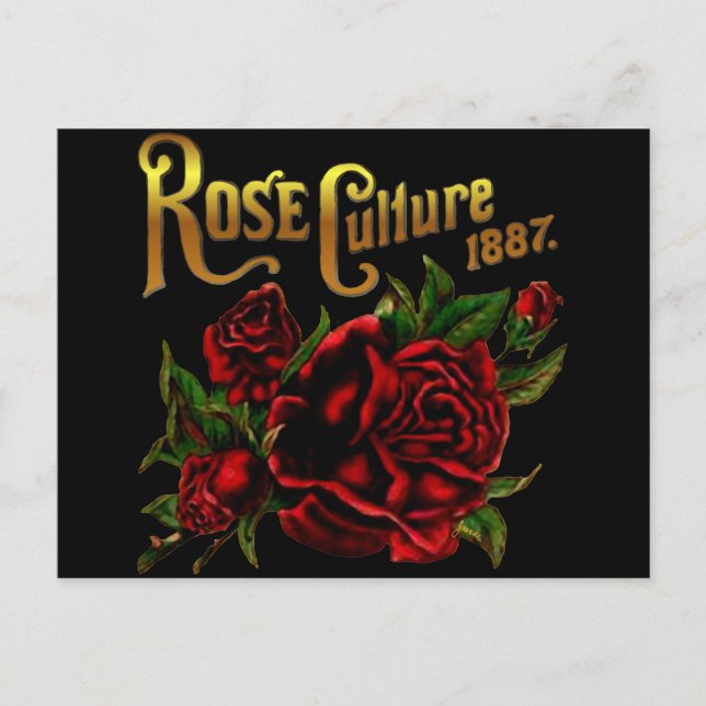 Postal Cultura Rosa 1887 (Anverso)