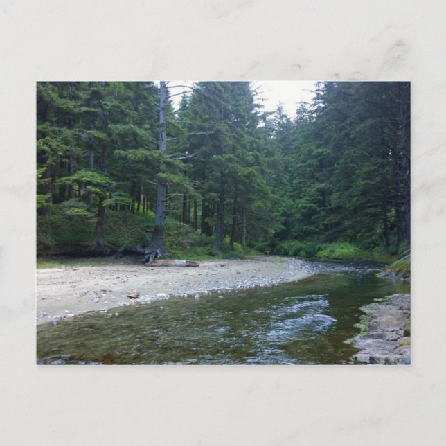 Postal Cummins Creek en el Parque Estatal Neptune, OR (Anverso)