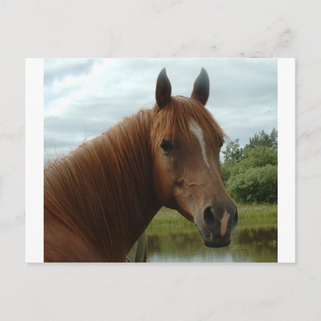 Postal Cumpleaños 012 (Anverso)