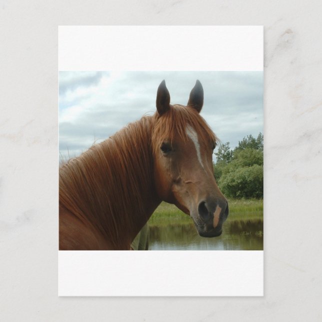 Postal Cumpleaños 012 (Anverso)