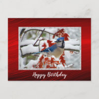 Cumpleaños con foto de hermoso arrendajo azul en l
