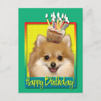 Cumpleaños Cupcake Pomeranian
