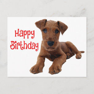 Postal Cumpleaños de adorable cachorro Airedale Terrier