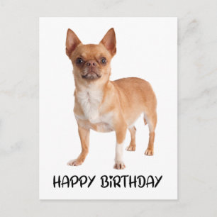 Postal Cumpleaños de adorable cachorro Chihuahua