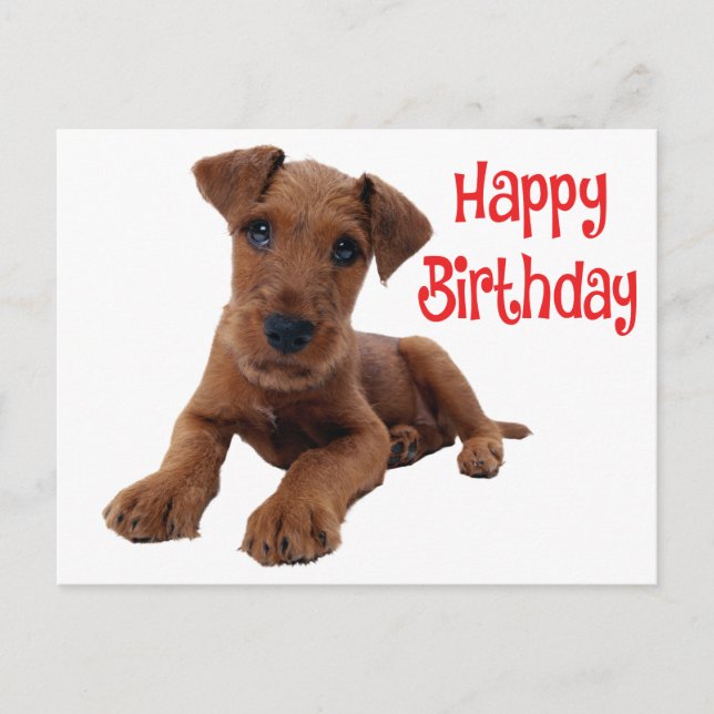 Postal Cumpleaños de cachorro de perro Airedale Terrier l (Anverso)
