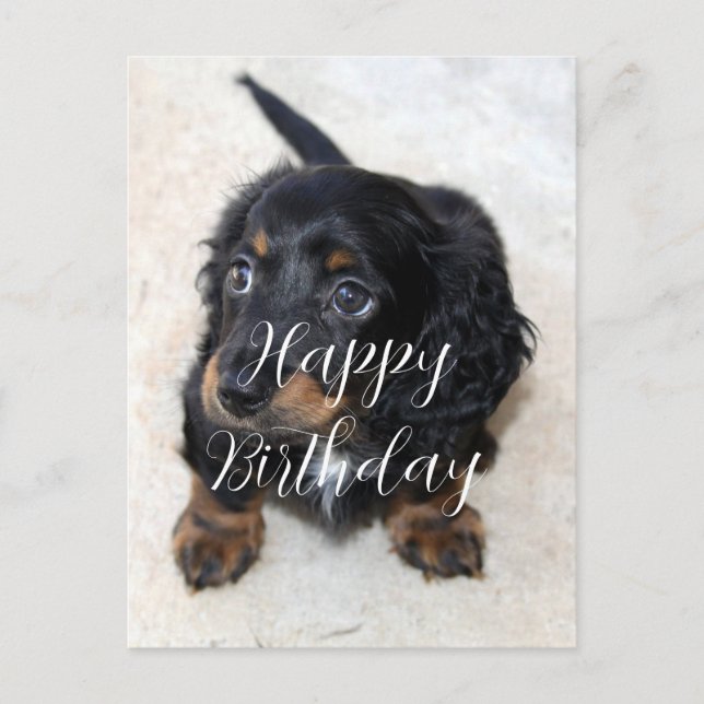 Postal Cumpleaños de cachorro de perro Dachshund negro li (Anverso)