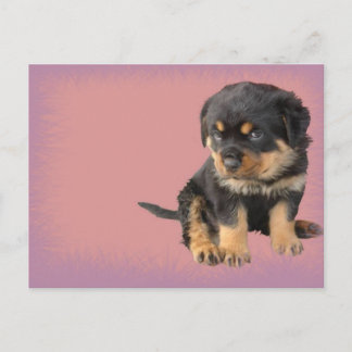 Postal Cumpleaños de Cute Rottweiler