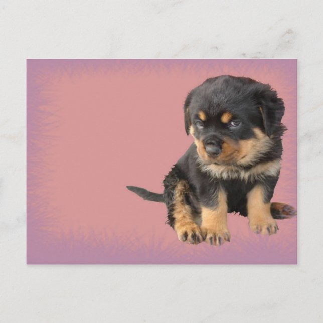 Postal Cumpleaños de Cute Rottweiler (Anverso)